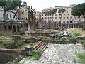 Area Sacra di largo Argentina 1